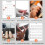 Guitar Aid Chords Trainer Educational Learning Too 4