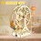 Wooden Building Toys, Activities Projects 3D Puzzl 5