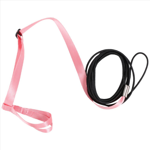Pet Bird Harness and Leash,Adjustable Parrot Bird 2