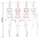 Fashion Illustration Ruler Sketch Template Sewing 1