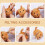 Animals Needle Felting Set, DIY Wool Felt Material 4