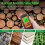 Multifunctional Digital Wood Moisture Meter 2 Need 6