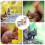 Squirrel Feeding Box Food Container Wooden Pet Sto 10
