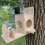 Squirrel Feeding Box Food Container Wooden Pet Sto 9