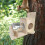 Squirrel Feeding Box Food Container Wooden Pet Sto 5