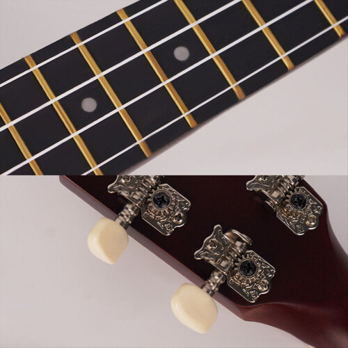 21 Inch Ukulele Set for Beginners 4-String Small G 2