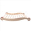 Sauna Backrest, Wooden Ergonomic S-Shaped Suitable 8