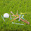 50Pcs Golfs Tees Holders Golfing Practice Professi 9