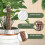 Plastic Moss Pole, Extended to 25Inch, Sphagnum is 4