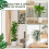 Plastic Moss Pole, Extended to 25Inch, Sphagnum is 6