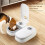 Pet Automatic Timing Feeder Detachable Auto Dog Dr 3