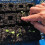 Handheld Seedling Soil Block Maker 20-Cell Steel B 5