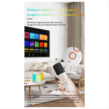 RGB Colorful LED Light Bluetooth 5.3 PA Speaker Wi