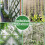 100FTGarden Wire Trellis for Climbing Plants, Stai 7
