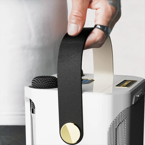 High Power Karaoke Bluetooth Speaker Portable 360 2