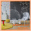 1 Roll 59ft Self Adhesive Bulletin Board Borders S 5