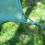 Breed Fishing Nets Cage Mesh Stake Net Small Grid 9
