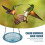 2 Layers Bee Feeder with Vivid Flower Design,Hangi 4