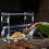 Parrot Feeder Box Acrylic Feeding Container No-Mes 5
