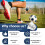12pcs Football Boots Studs Shoes Stud Replace Comp 6