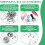 Shrink Plastic Sheet Kit W Blank Sheets Shrinky Ar 4