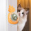 Cat Toy Mint Ball Indoor Teeth are Clean 4