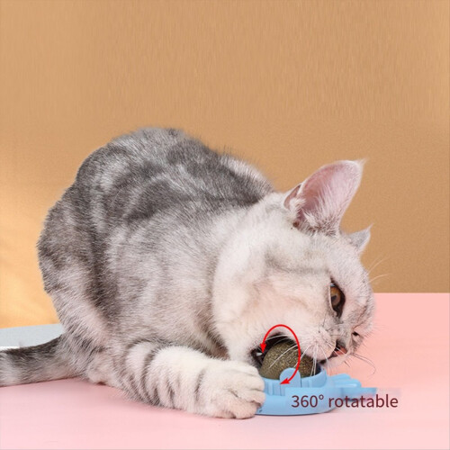 Cat Toy Mint Ball Indoor Teeth are Clean 2