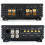 Single Channel Amplificador Class D Digital Car Am 2