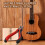 Fret Fretboard Nipper Bridge Pin Plier Cut Luthie 5