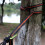 Outdoor Hammock Tree Straps Tie Rope High Load-Bea 2
