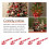 100Pcs Red and White Handmade Christmas Candy Cane 9