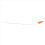 60Pcs Fall Dried Flowers Bunny Lagurus Ovatus Tail 4