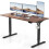 Devoko Electric Standing Desk Height Adjustable Standing Desk 140 x 60 1