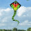 Large Snake Kite with Realistic Pattern, Durable Cloth, Stable Flight for Beach and Park Fun 3