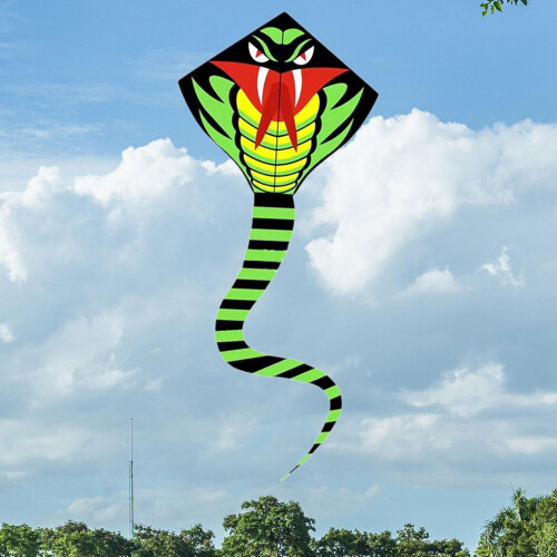 Large Snake Kite with Realistic Pattern, Durable Cloth, Stable Flight for Beach and Park Fun 2