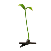 Schattige haarclips in de vorm van een taugé, veelzijdige decoratie, grappige haarclips in de vorm van een taugé, helder, elegant en mooi,