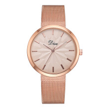 Fashion Women Watches with Sapphire Crystal, Luminous Function Stainless Steel Band Analog Timepiece in Beige Dial, Waterproof Japanese Quartz Movemen