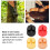 Bluetooth Wireless Earbuds with Charging Case Noise Cancelling 3.7V Black 13