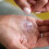 Tommee Tippee Tommee Tippee Made for Me Nipple Shields for Breas 5