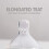 Hegen Baby Feeding Bottle Replacement Teats (2 Pack) Slow Flow 5