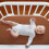 Peepeemax Moses Basket Sheets 90x50 cm, 2 Pack Mus 5