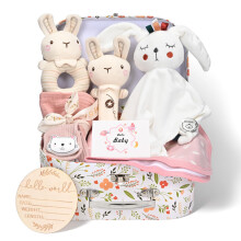 10-in-1 Newborn Baby Gifts, Baby Girl Gift, Baby Gift Set, Includes Baby Blanket,