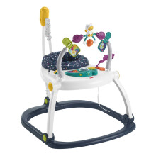 Fisher-Price Astro Kitty SpaceSaver Jumperoo Infan