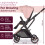Lejoux+ Baby Pushchair (Pink) 2