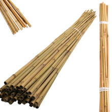 4ft,5ft,6ft,7ft Bamboo Garden Canes Thick Heavy Duty Professional Stake Plant Flower Veg Support Cane Garden Stick Cheap (10, 5FT)