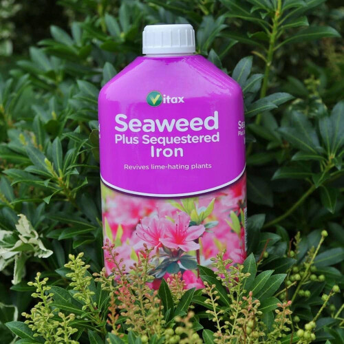 Vitax Vitax Seaweed Plus Sequestered Iron 500Ml 2