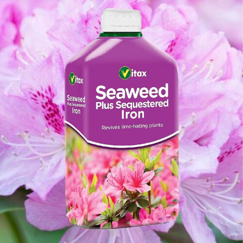Vitax Vitax Seaweed Plus Sequestered Iron 500Ml 1