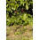 Smart Garden Gro-Links Plant Support 25cm x 70cm 4 Pack 2