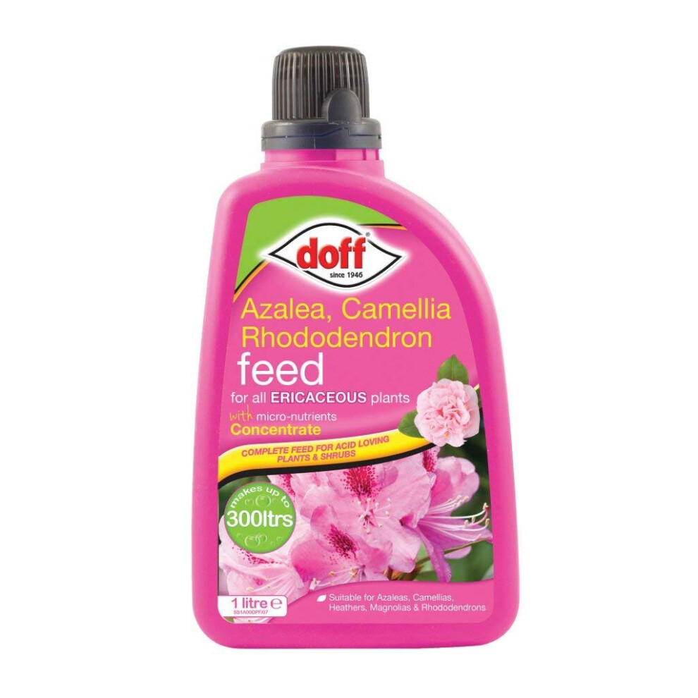 Doff Ericaceous Plant Feed - Concentrate 1L