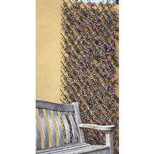 Smart Garden Artificial Violet Flower Expanding Trellis 180 x 60cm